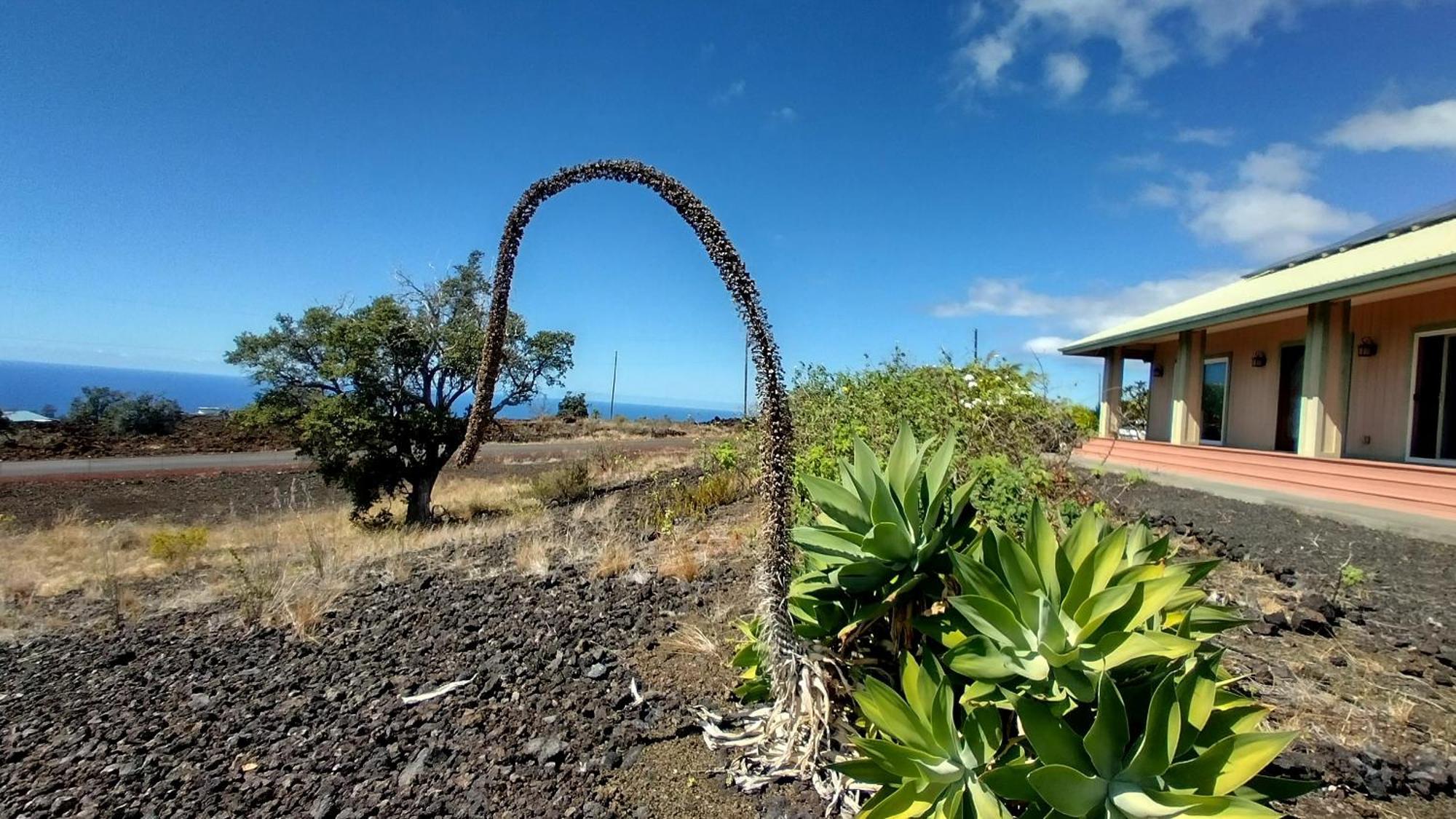 Ocean View Paradise! Exterior foto